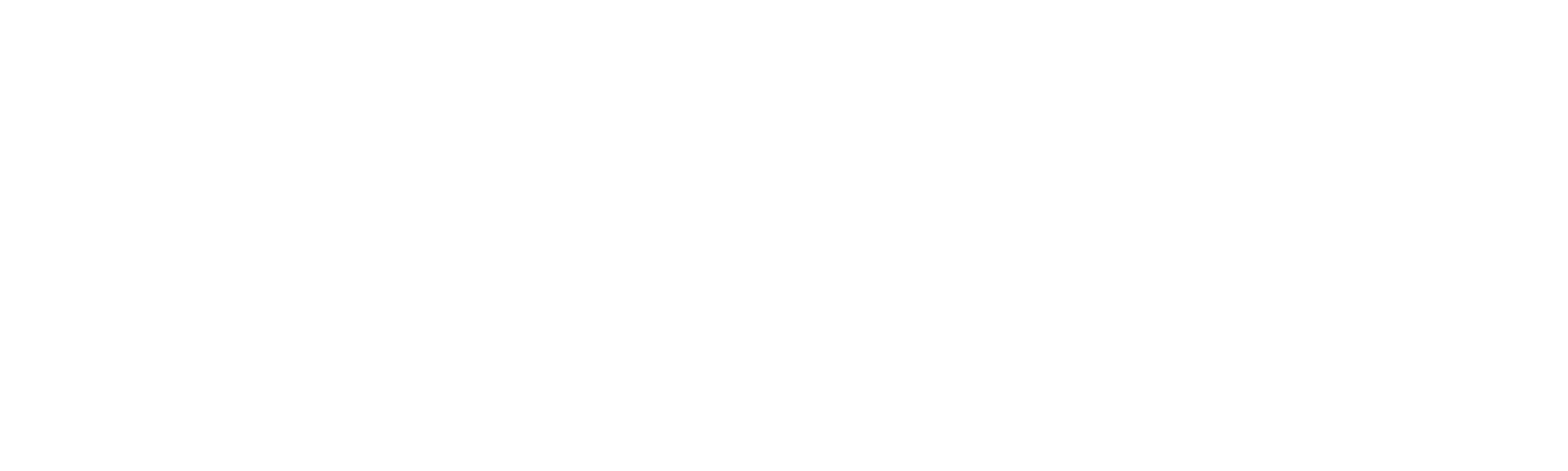 BIZARTI GmbH